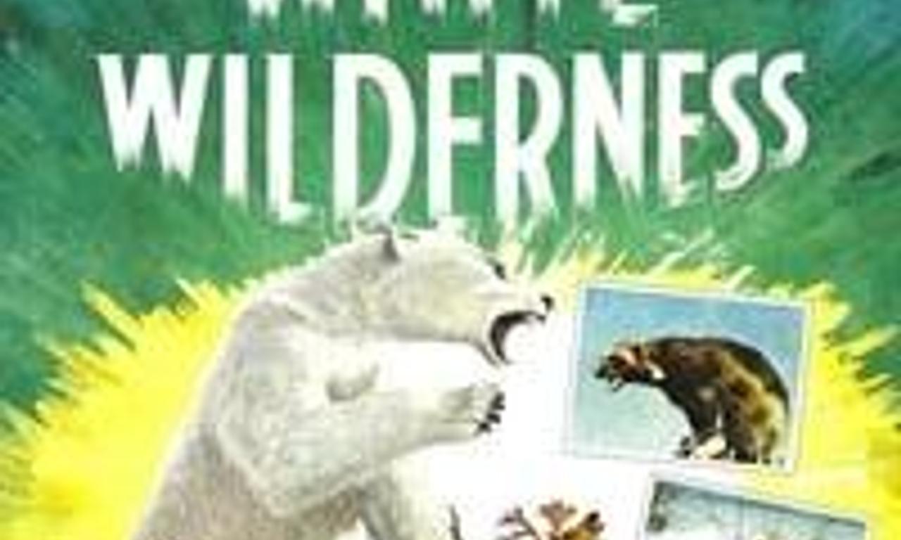 header image for White Wilderness