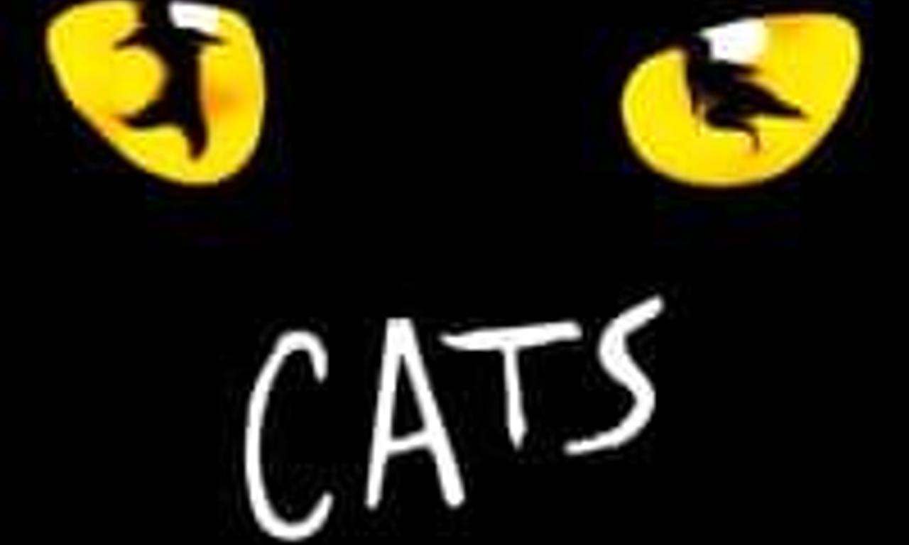 header image for Cats