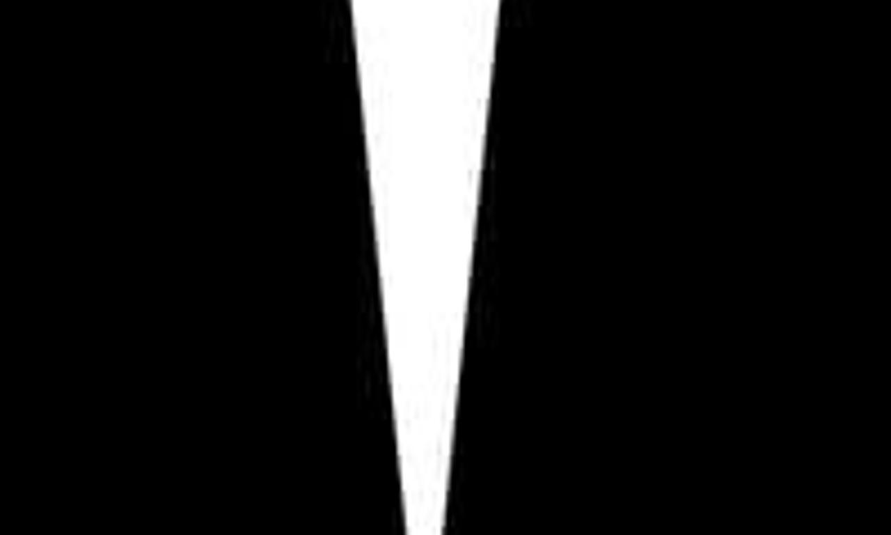 header image for The Fan