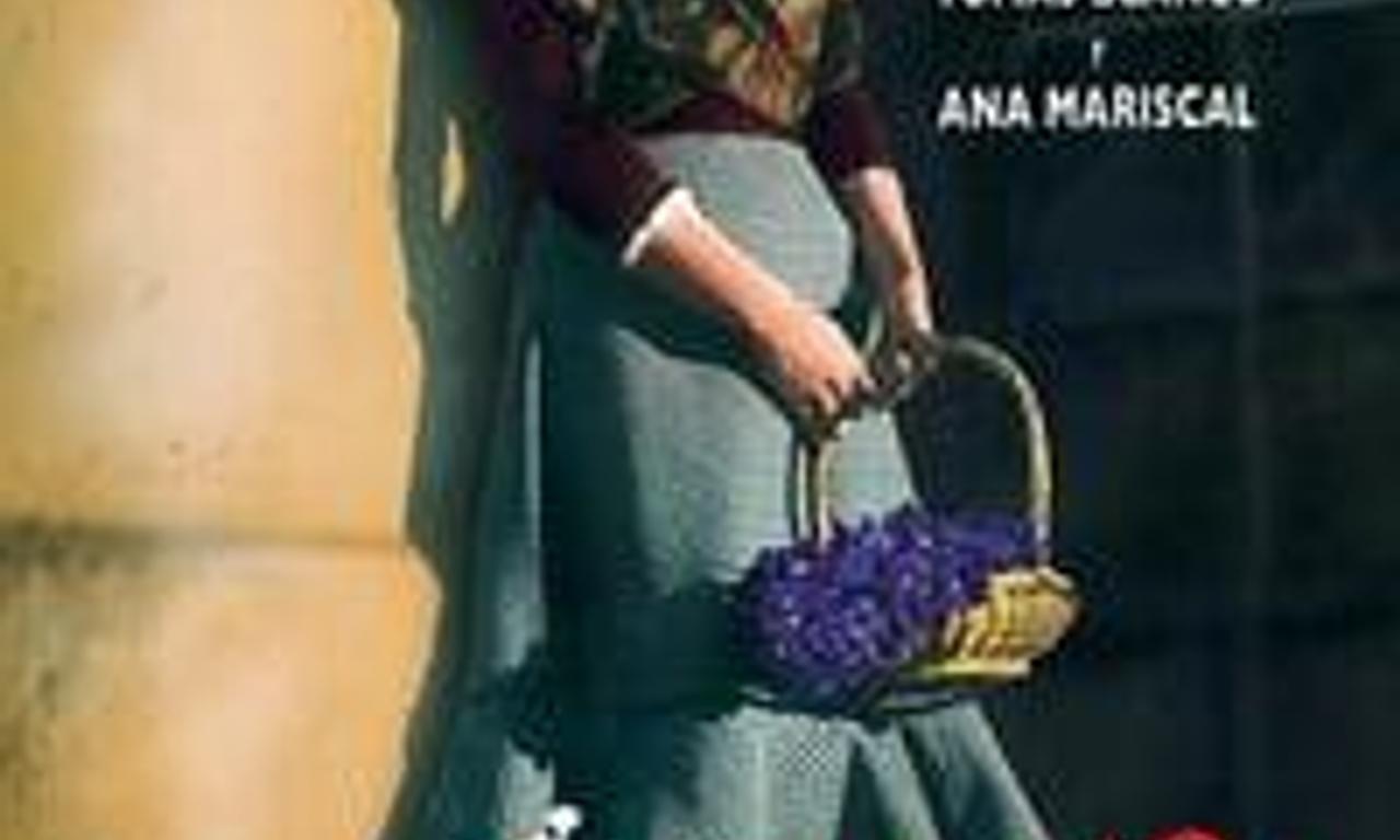 header image for The Violet Seller