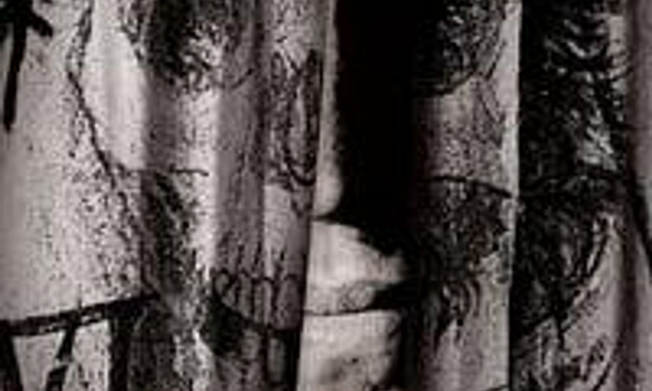 header image for The Magician