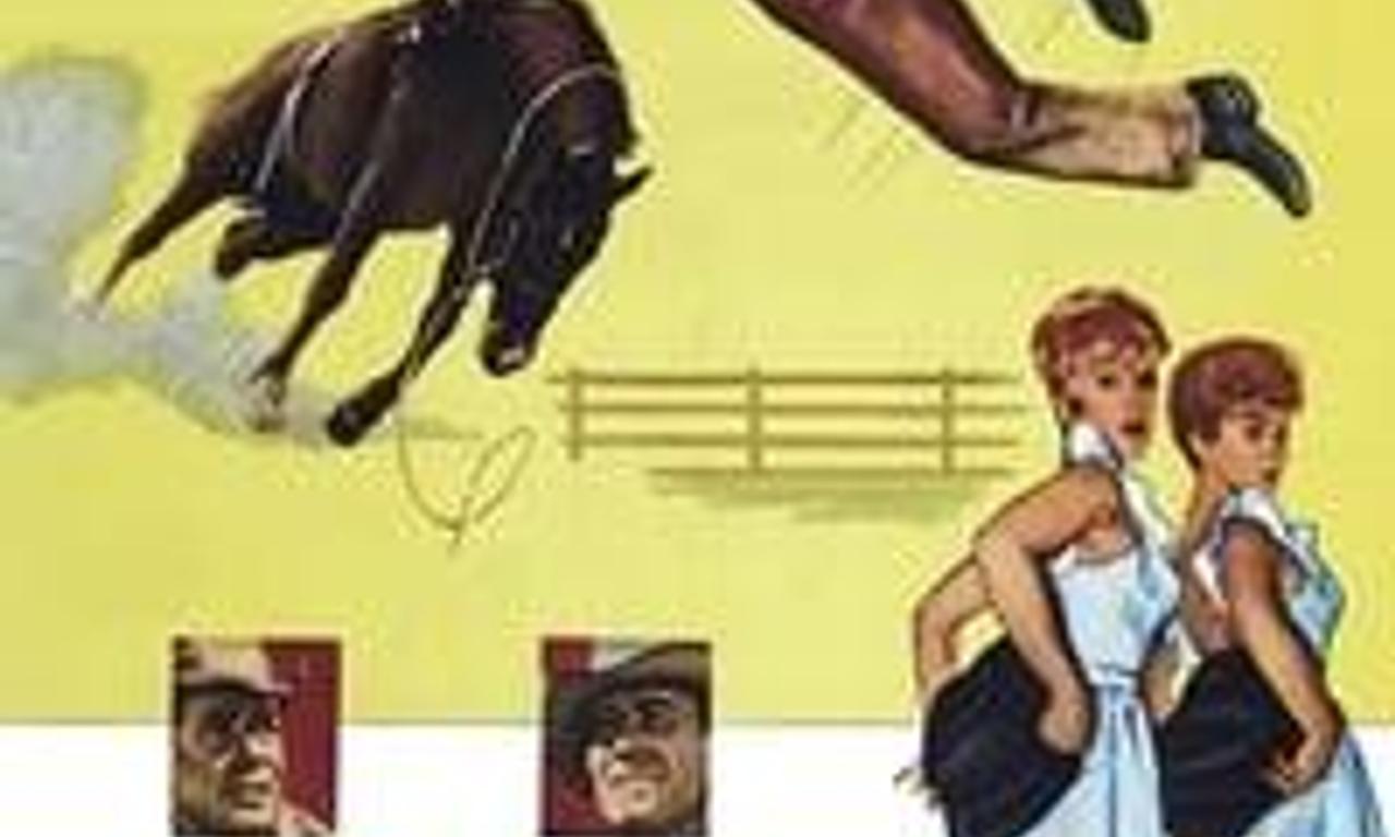 header image for The Rounders