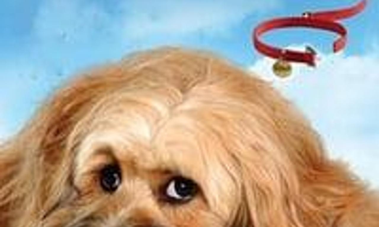 header image for Benji: Off the Leash!