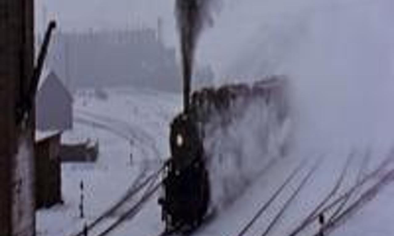 Down North Where to Watch and Stream Online Entertainment.ie