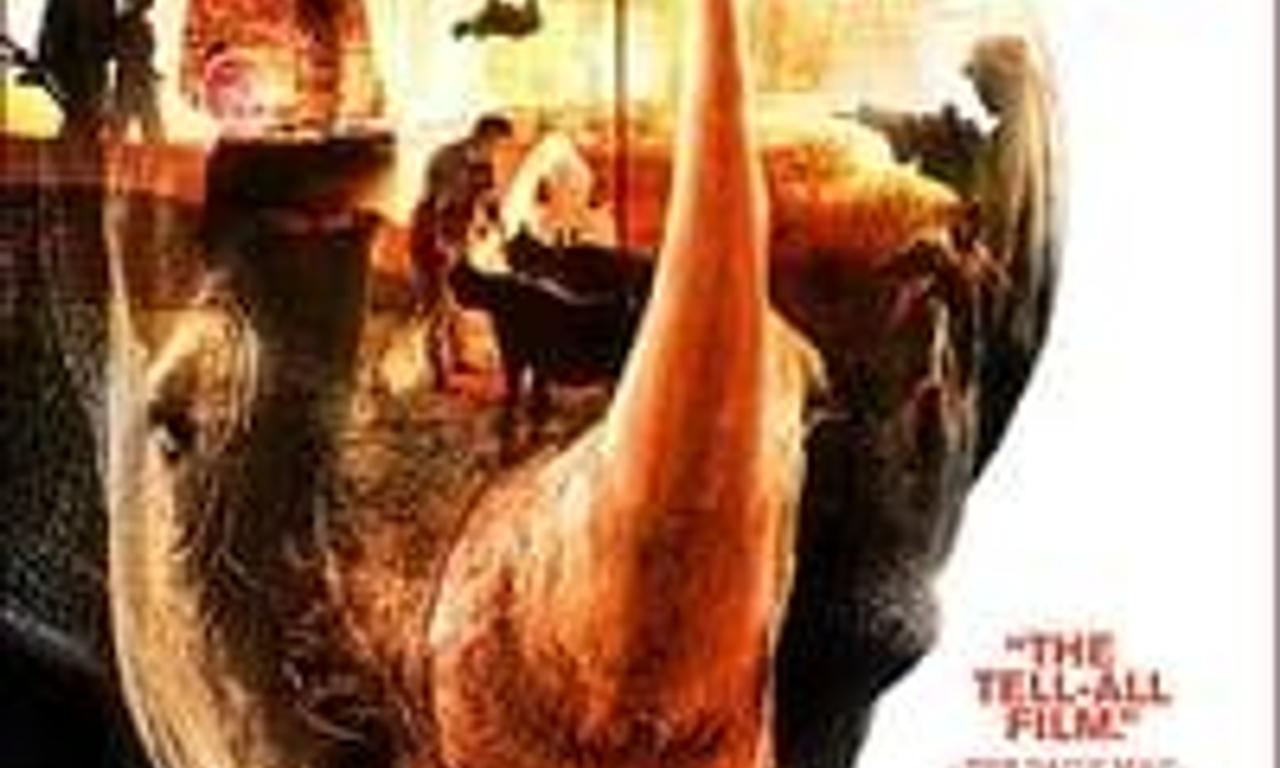 header image for Stroop: Journey into the Rhino Horn War