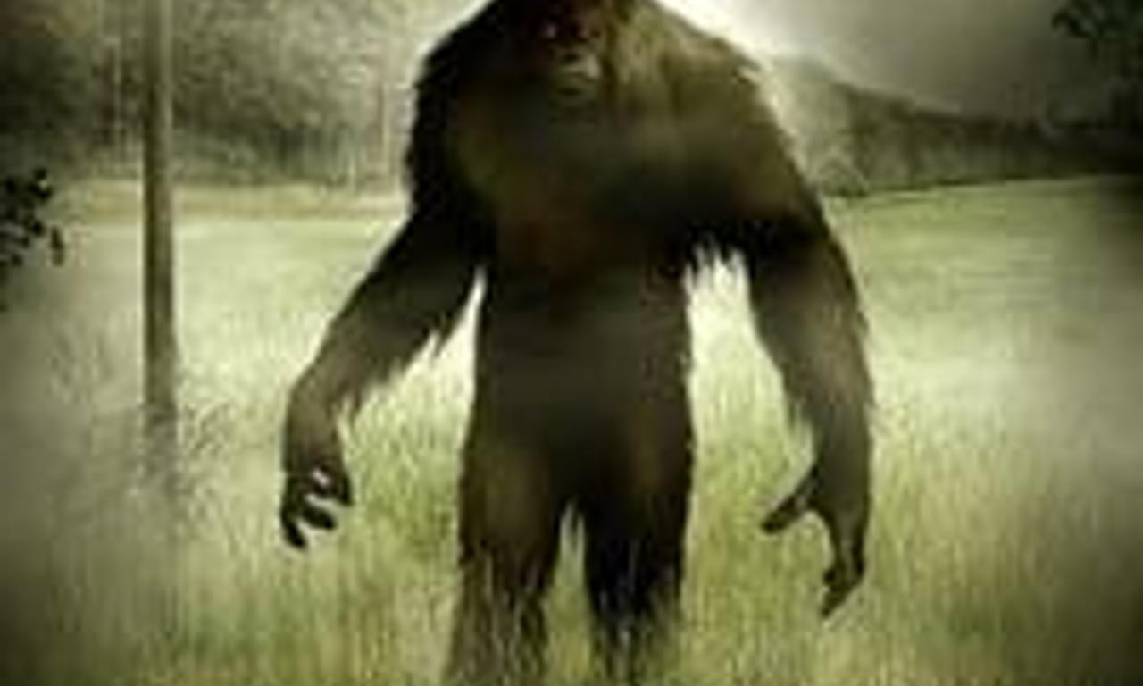 header image for Beast of Whitehall