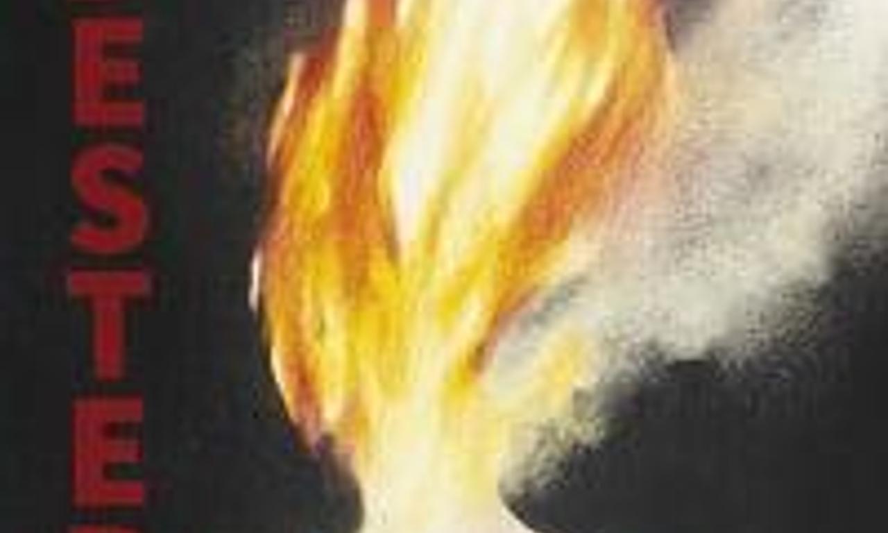 header image for Desterro