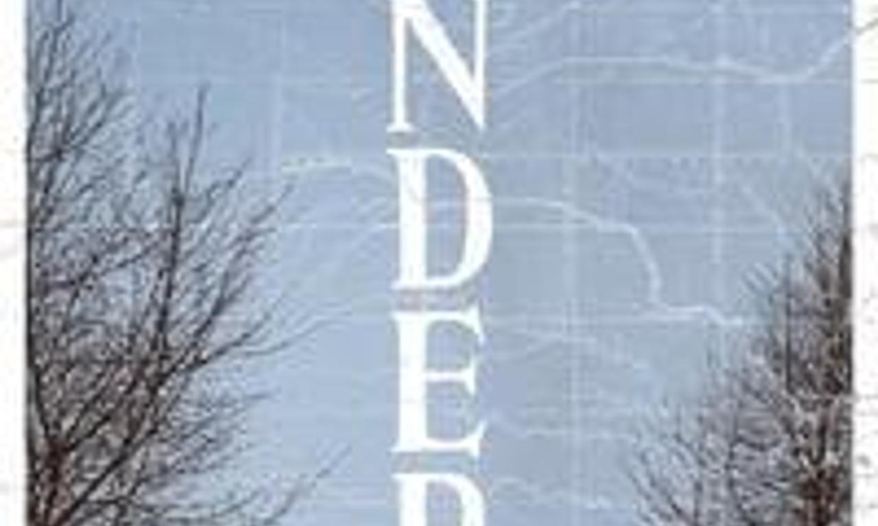 header image for Bender