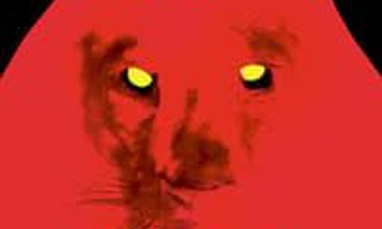 header image for Memory House