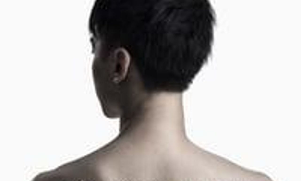 header image for Sodom's Cat