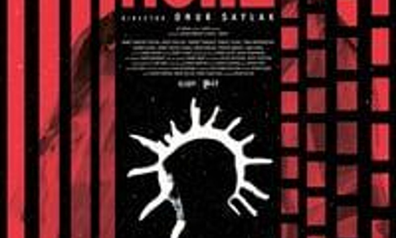 header image for More