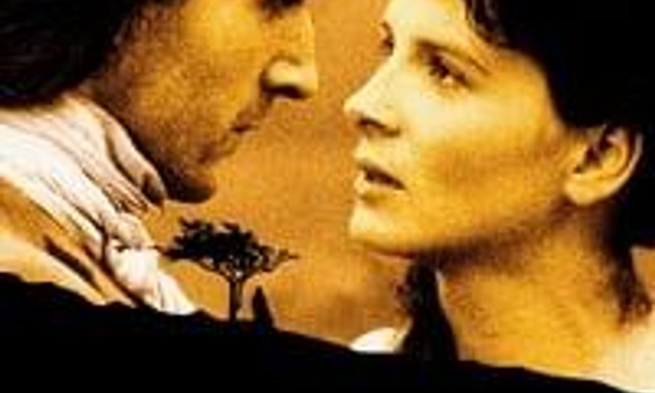 header image for Wuthering Heights