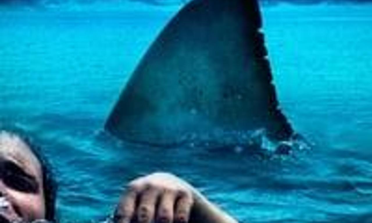 header image for The Reef