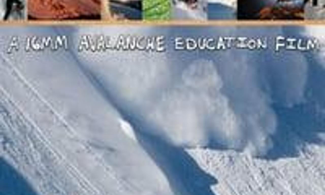 header image for The Fine Line