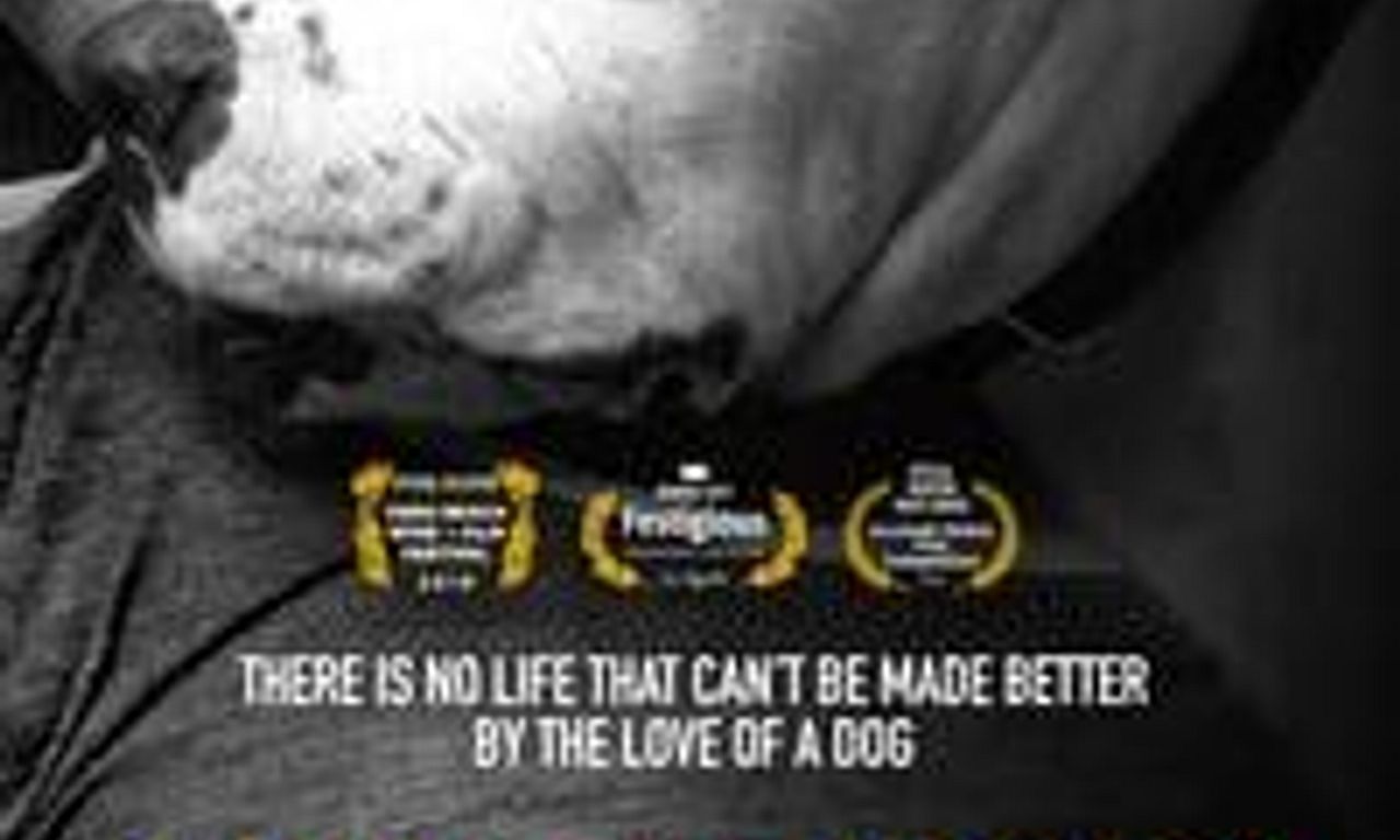 header image for Life Love Dogs