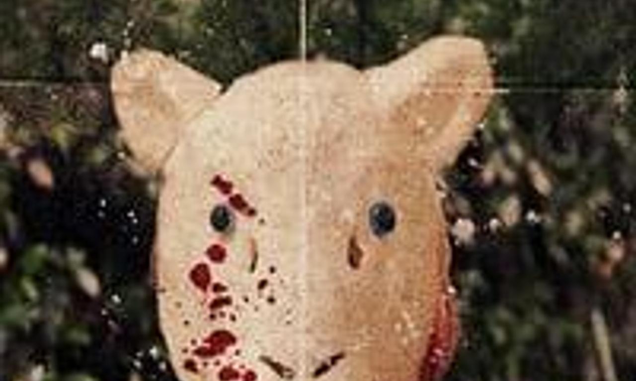 header image for Maria's Tale