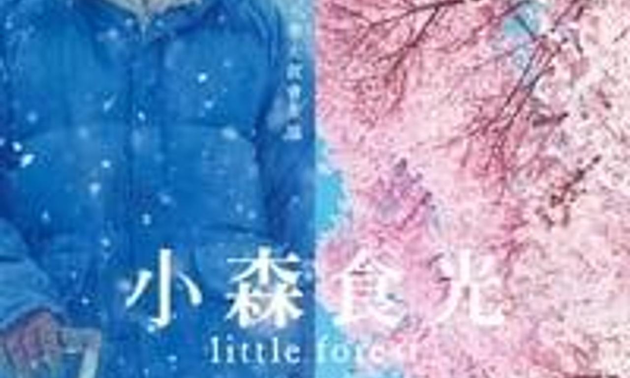 header image for Little Forest: Winter/Spring
