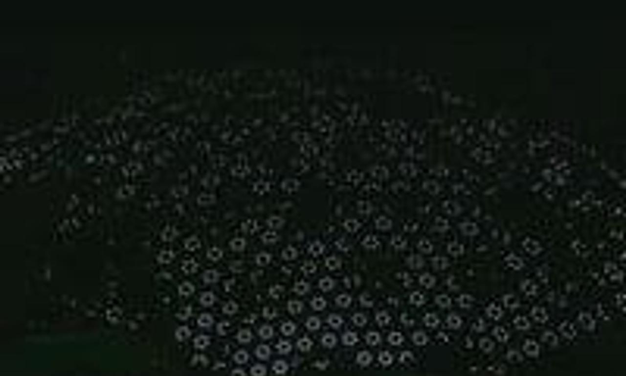 header image for 116 Cameras