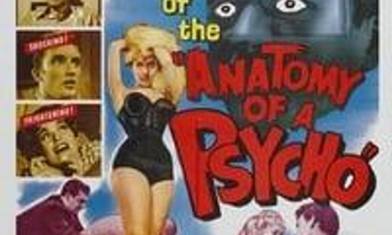header image for Anatomy of a Psycho