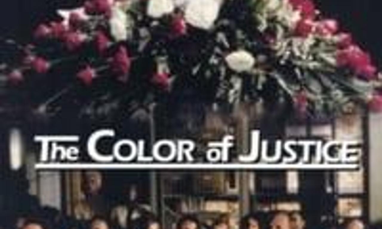 header image for Color of Justice