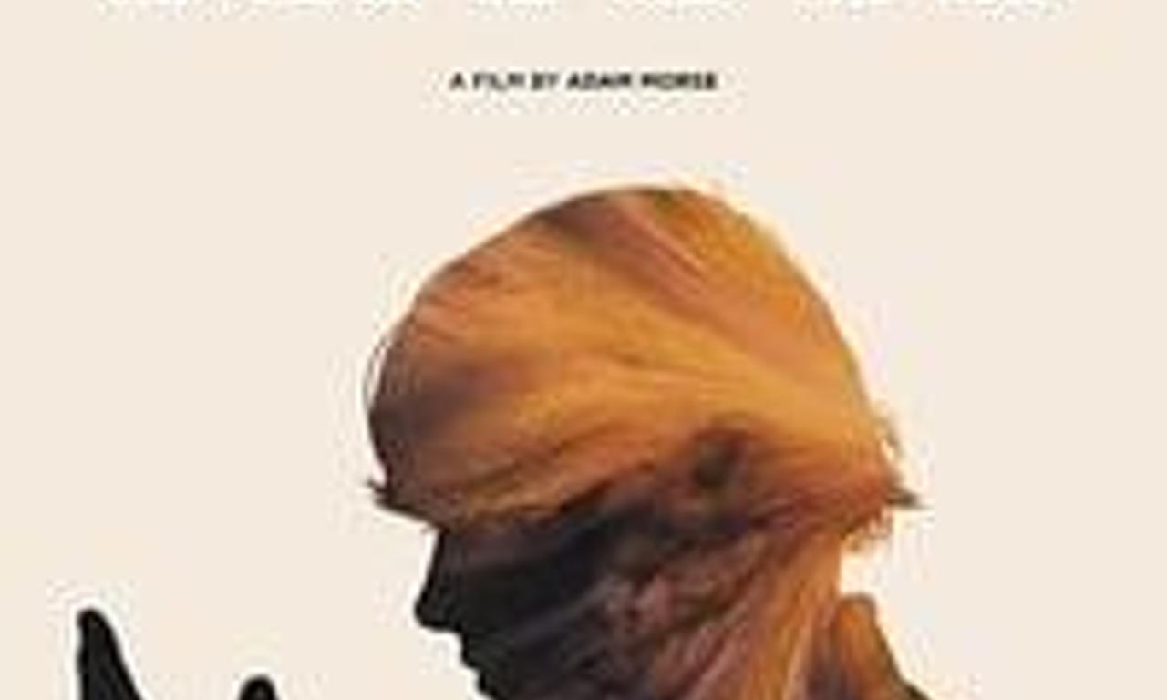 header image for Lucid