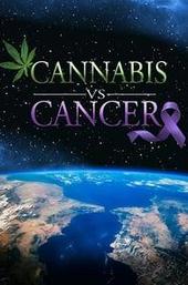 Cannabis vs. Cancer