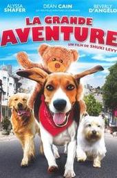 Aussie and Ted's Great Adventure