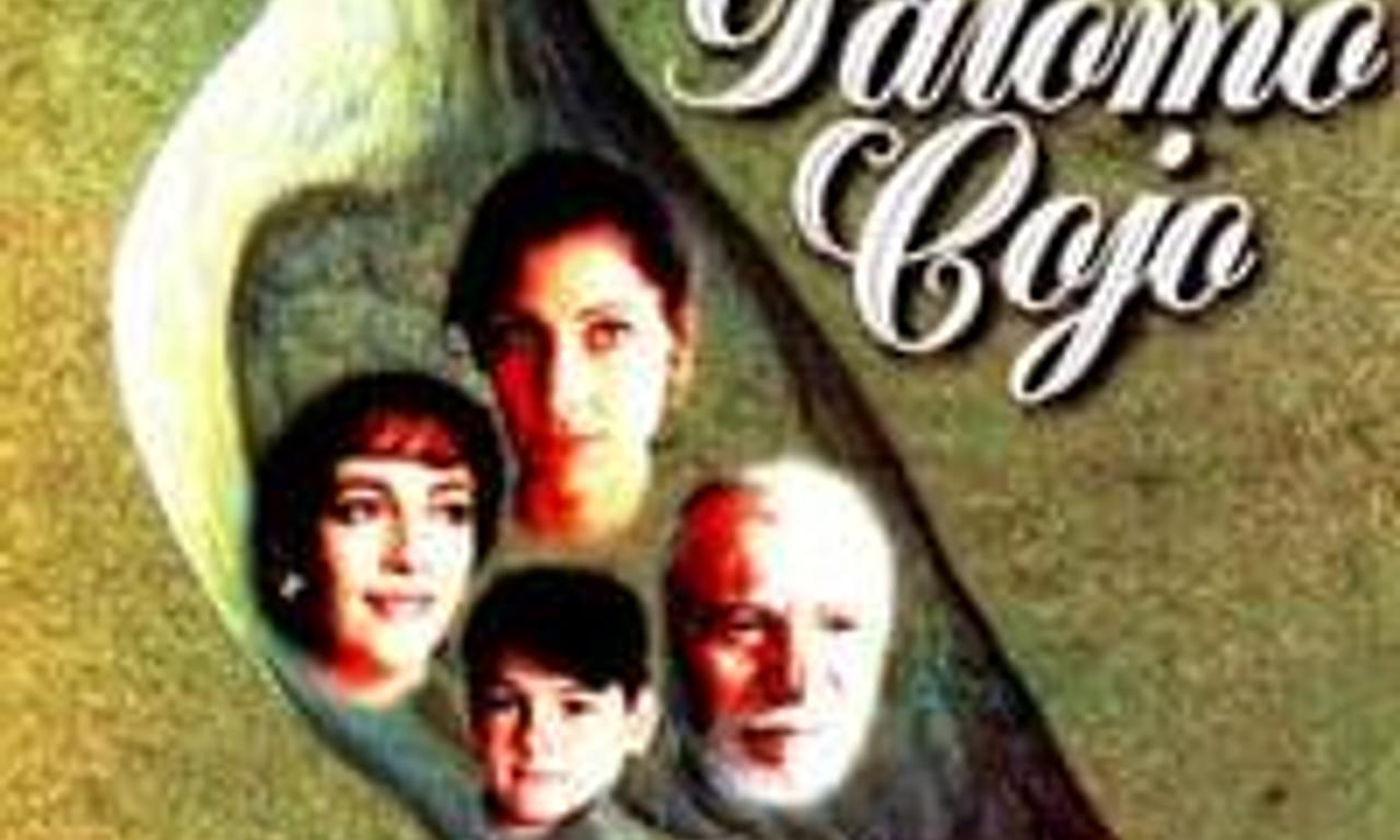 header image for The Lame Pigeon