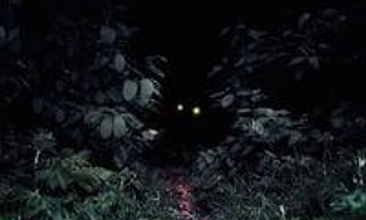 header image for Ashburn Waters