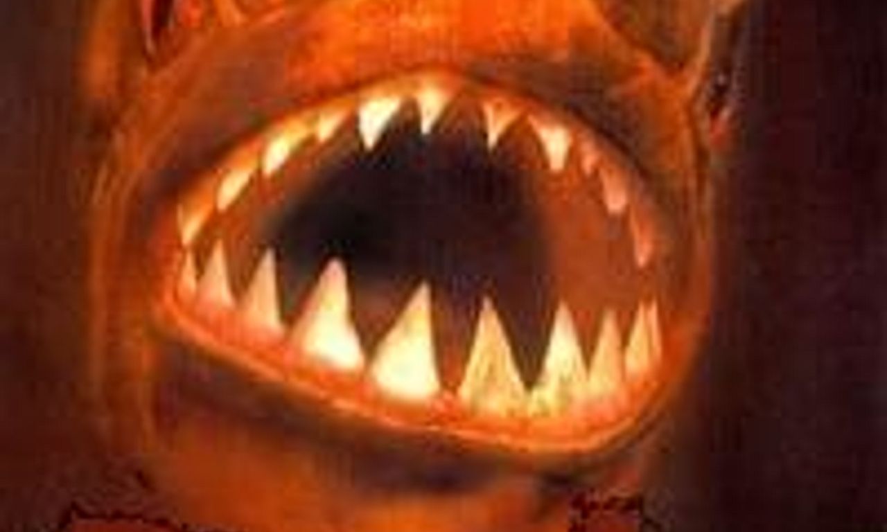 header image for Piranha