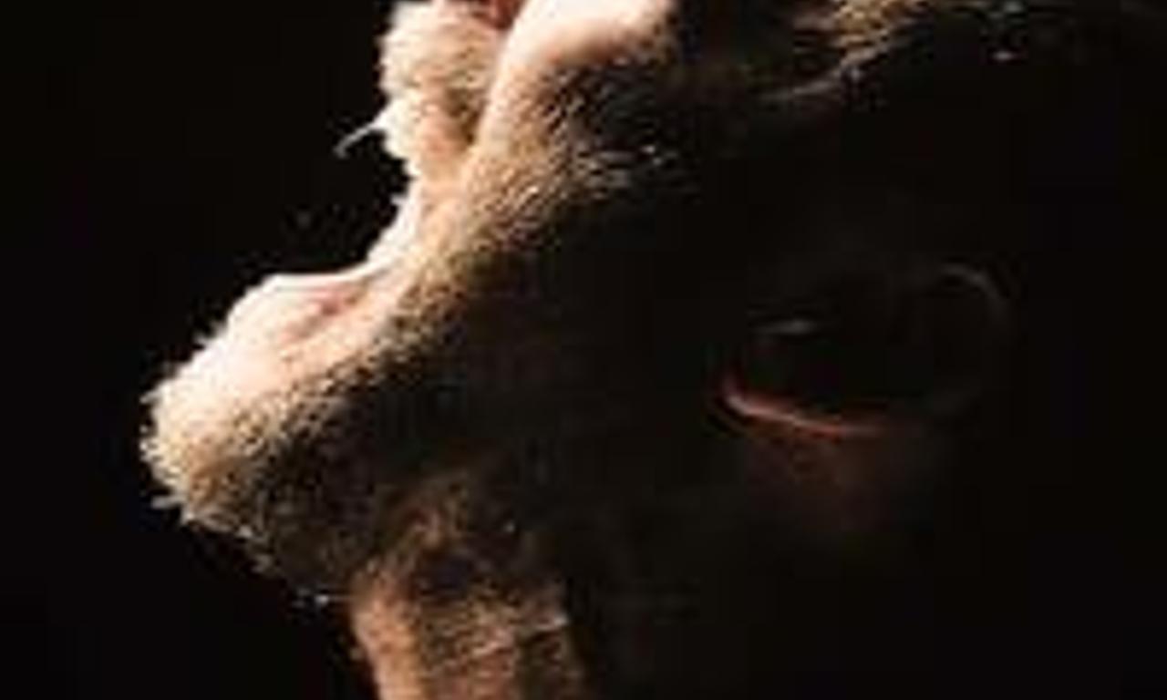 header image for Darkness Falls