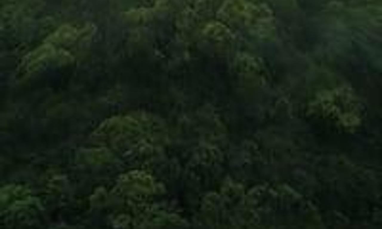 header image for The Prey