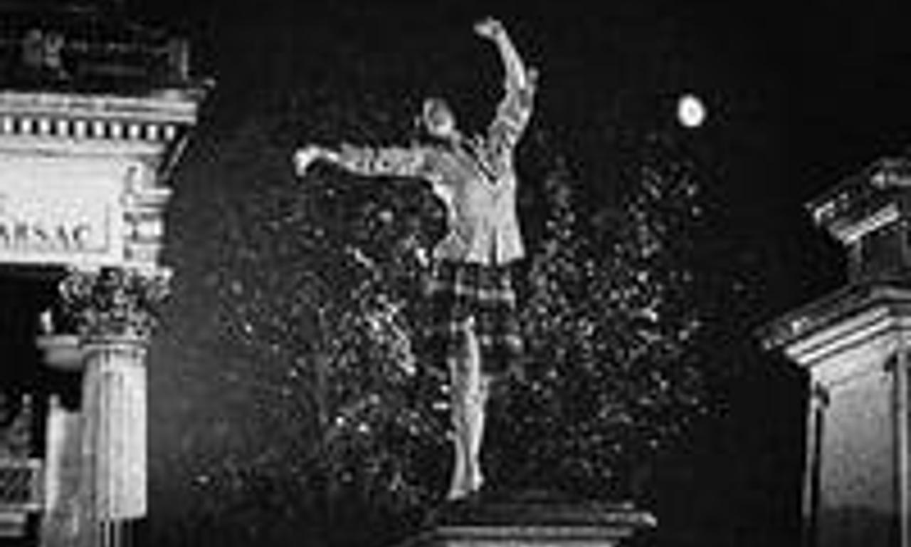 header image for The Iron Rose