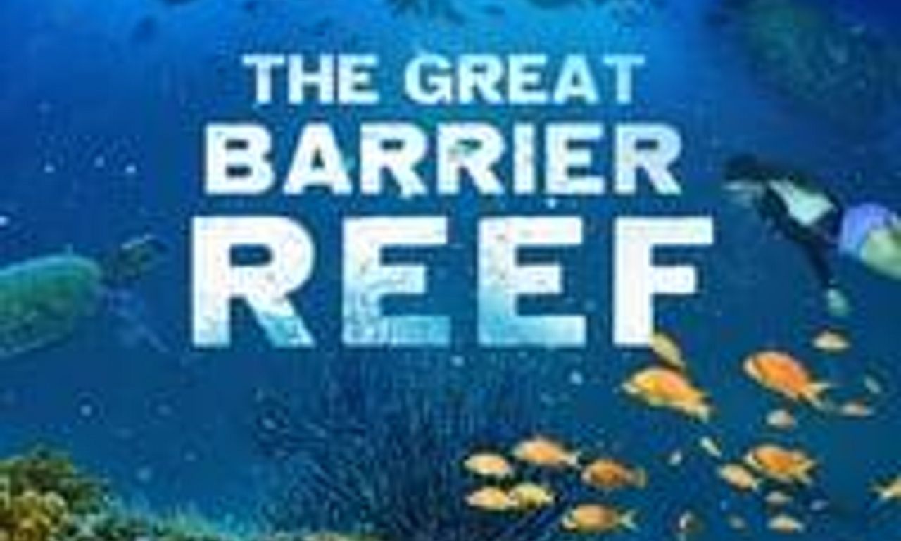 header image for The Great Barrier Reef