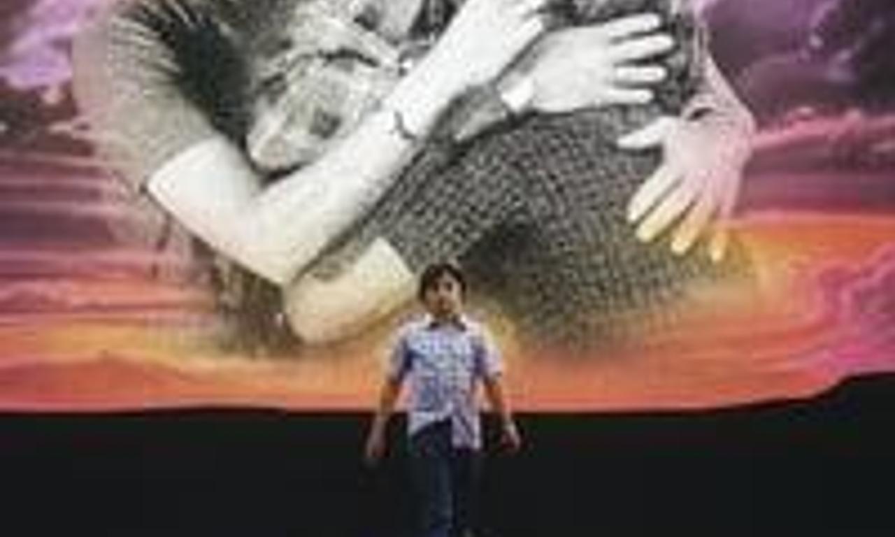 header image for The Stone Boy