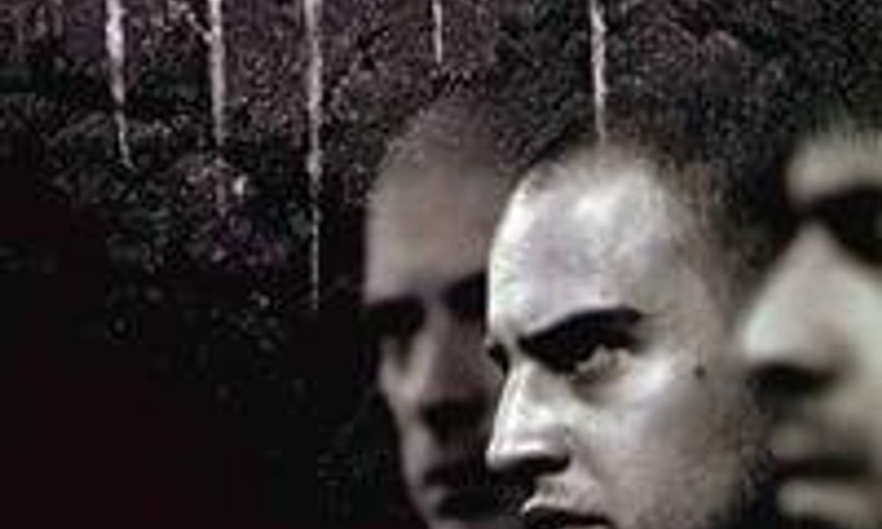 header image for The Experiment