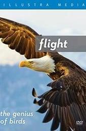 Flight: The Genius of Birds