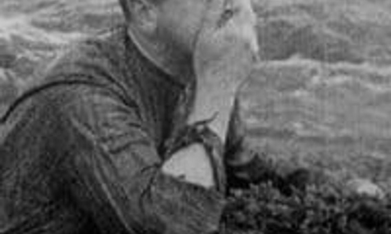 header image for Devil's Rock