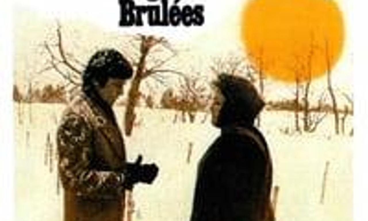 header image for The Burned Barns