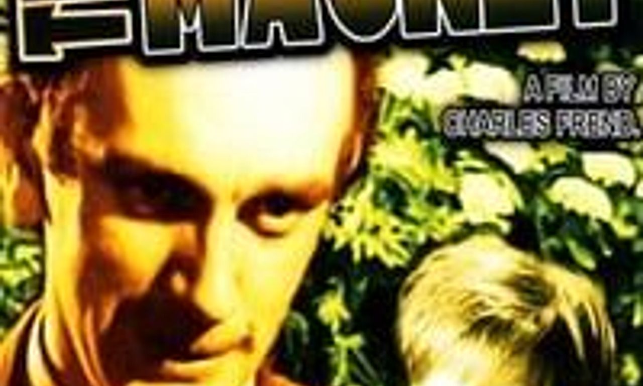 header image for The Magnet