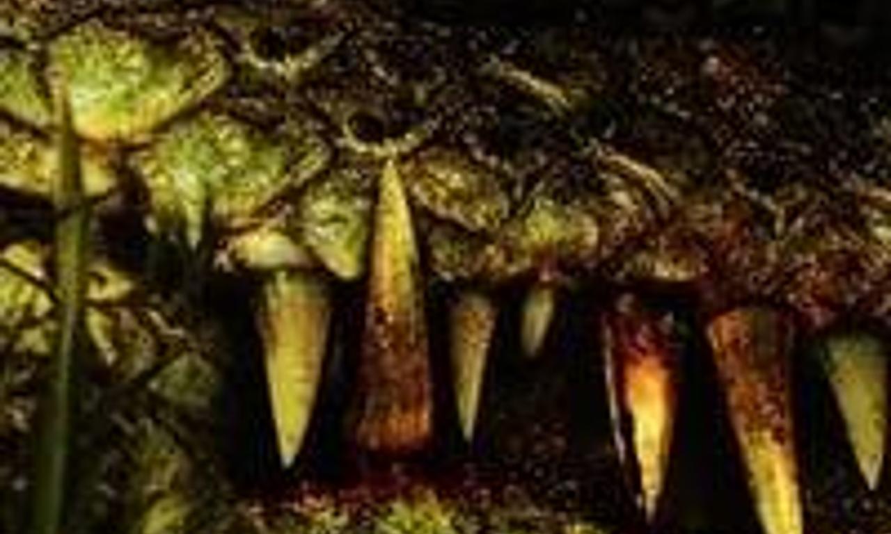 header image for Primeval