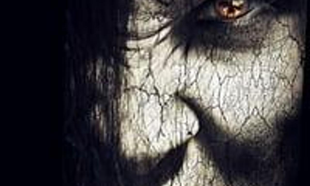 header image for The Wicked