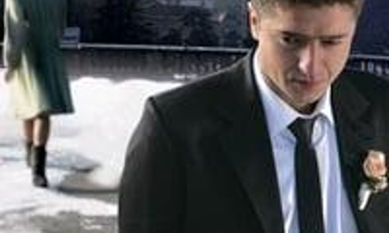 header image for Dandelion