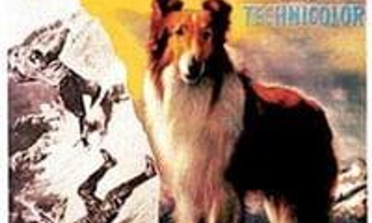 header image for The Painted Hills