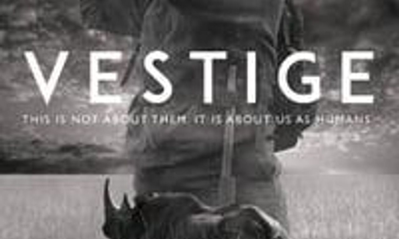 header image for Vestige