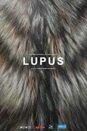 Lupus