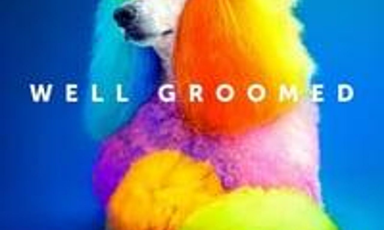 header image for Well Groomed