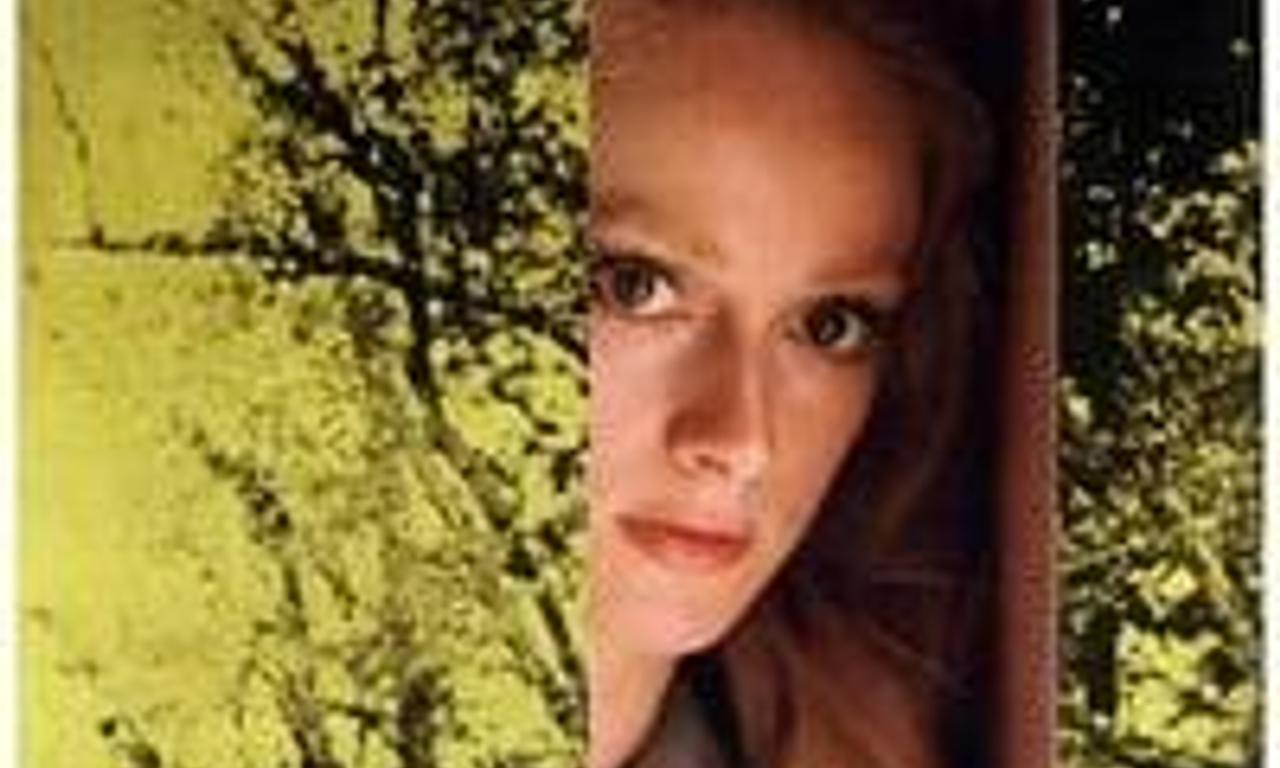 header image for The Heart Is a Lonely Hunter