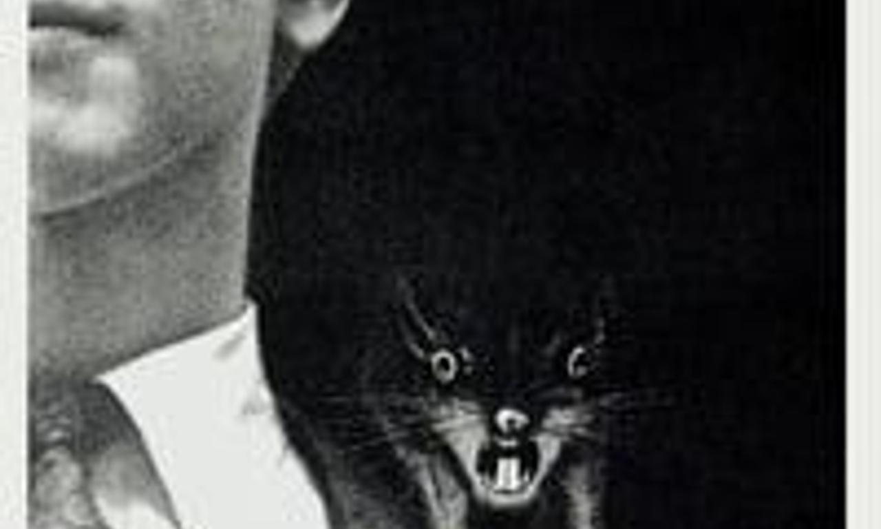 header image for Willard