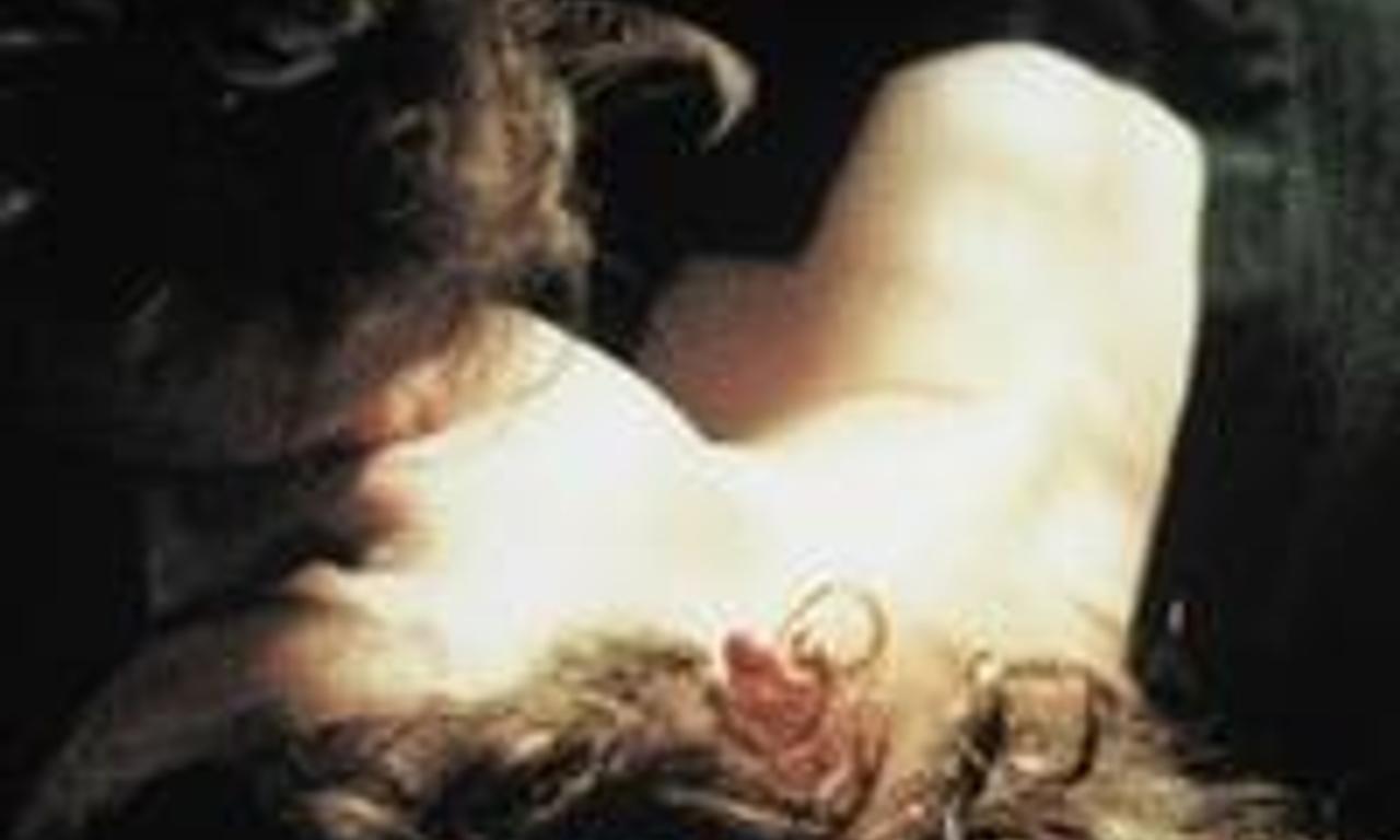 header image for Friday Night